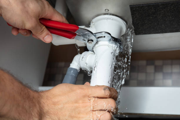 Best Carpet water damage restoration  in Lewisburg, KY