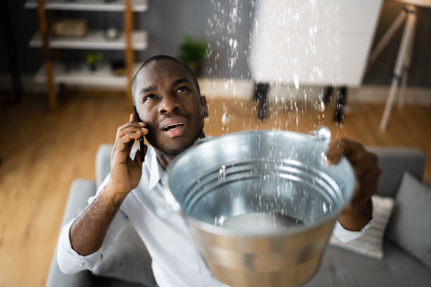 Best Flood damage cleanup  in Lewisburg, KY