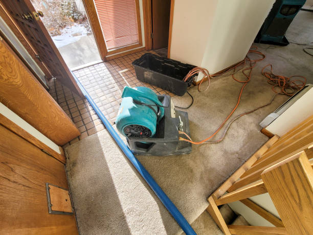  Lewisburg, KY Water damage restoration Pros