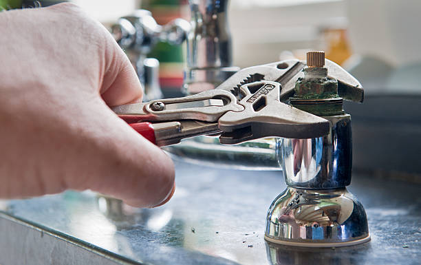 Best Local water damage restoration  in Lewisburg, KY